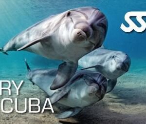 Try scuba