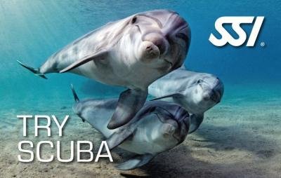 Try scuba