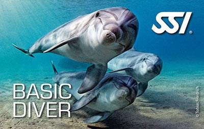 Basic diver