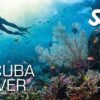 Scuba diver