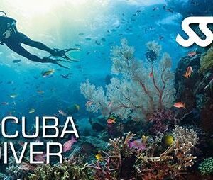 Scuba diver